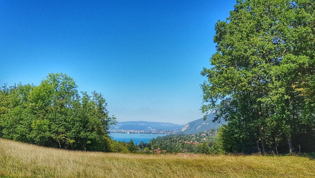 Manou du Lac Annecy Doussard Extérieur photo